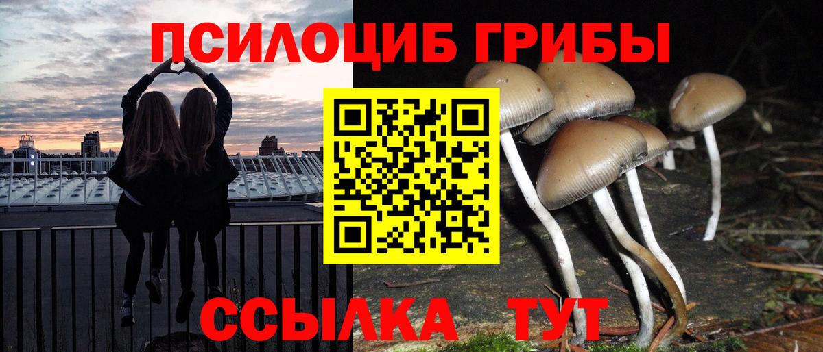 Полысаево  Псилоцибиновые грибы Psilocybine cubensis  Вход с VPN  Галлюциногенные грибы прущие грибы 